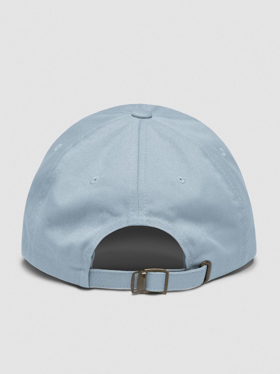 HOME Unisex Hat product image (14)