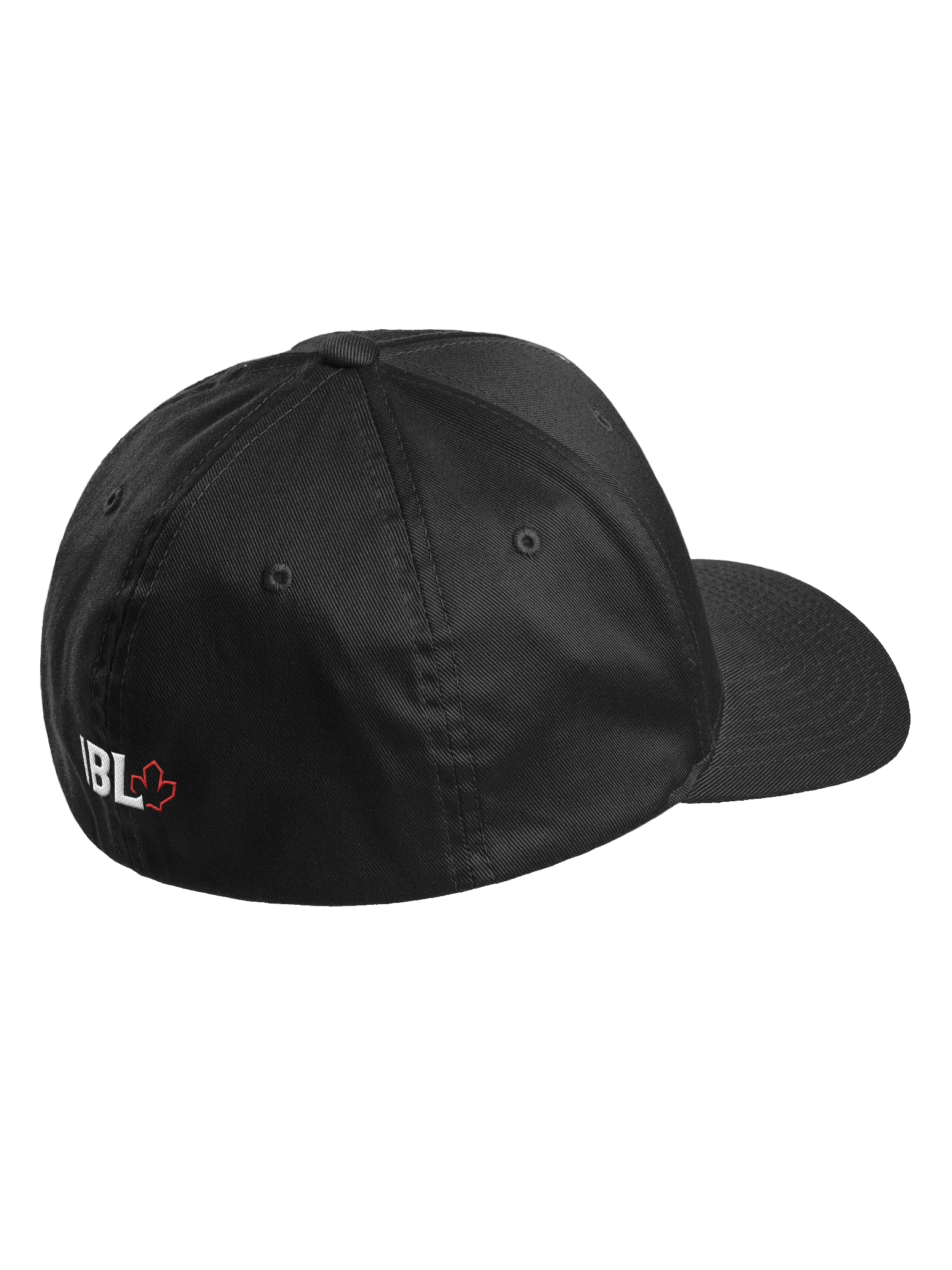 Ottawa Fat Cats - Eclipse Eye Dad Hat Flexfit Cap product image (8)