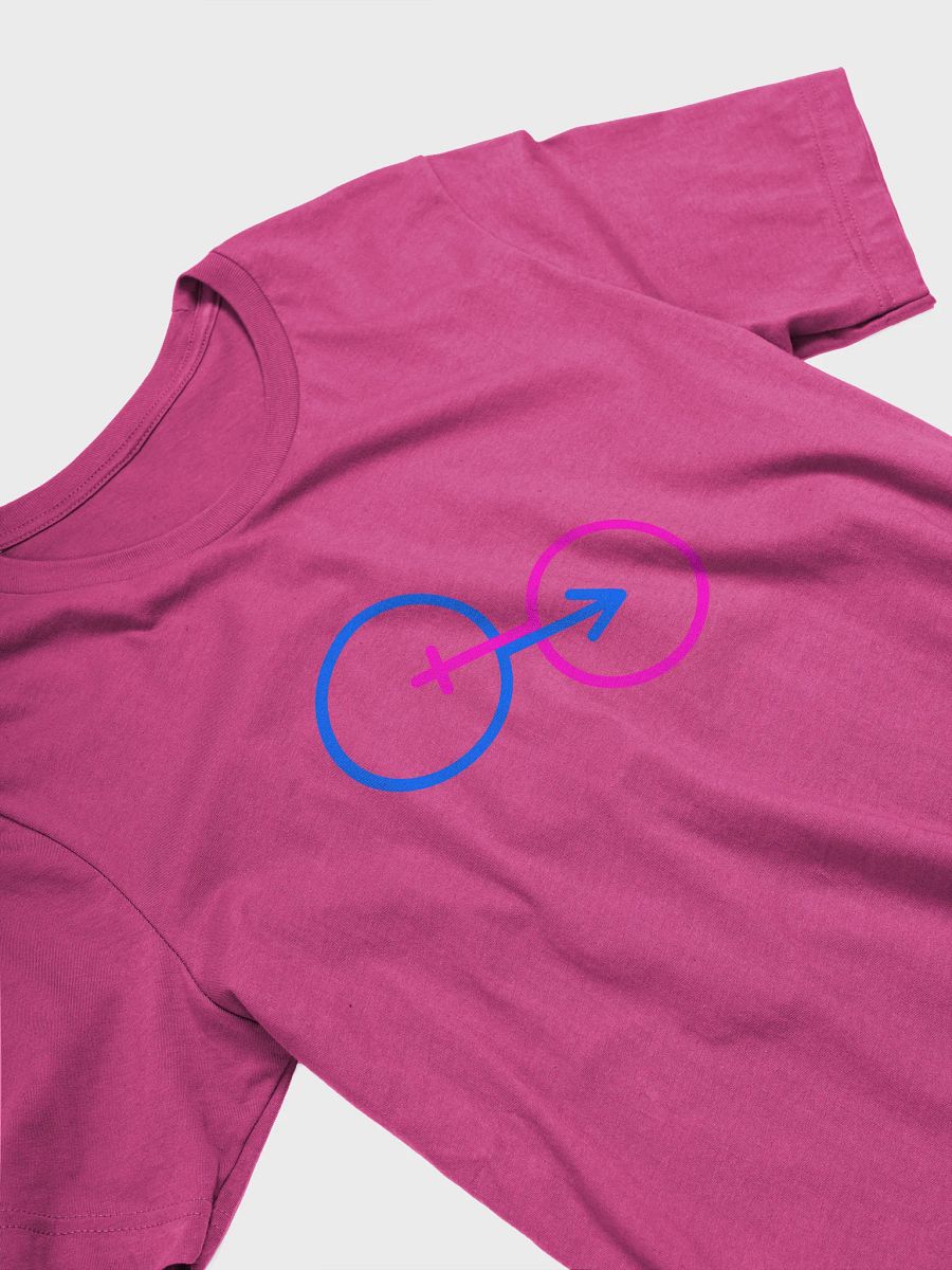 Traditional Genders Combined T-Shirt product image (3)