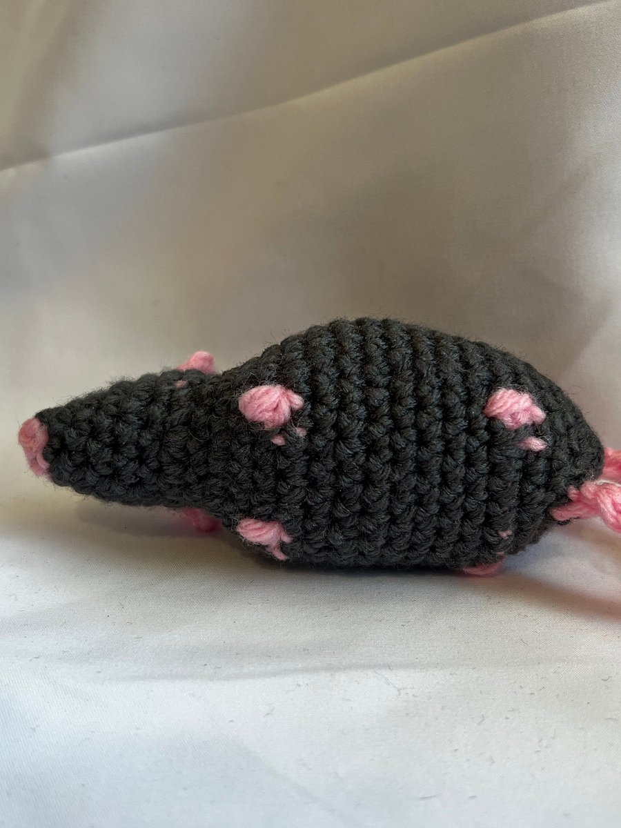 Scrappy the Street Rat product image (11)