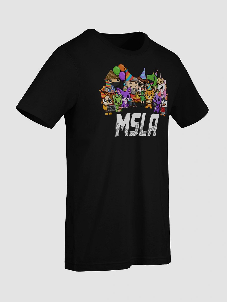 MSLA Sweet Sixteen - T-Shirt product image (74)