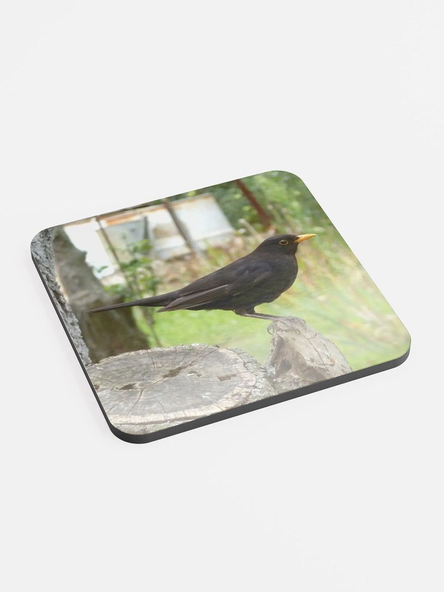 Glossed Cork Coaster - The common blackbird product image (2)