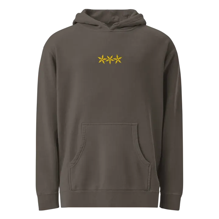 Slow-Mo Golden Shuriken Hoodie product image (1)