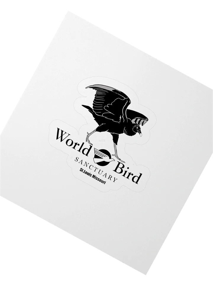 Cash Black Vulture Sticker product image (4)