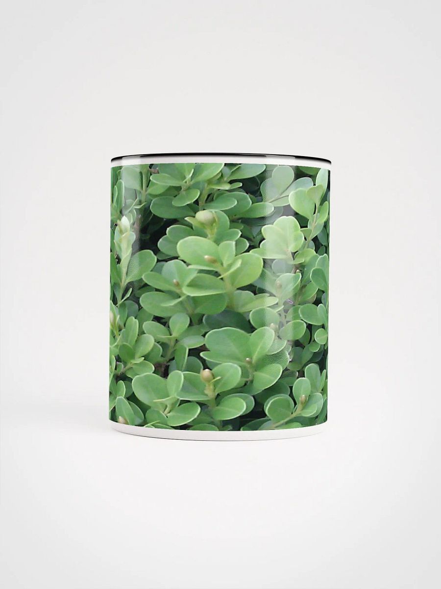 "Green Leaf" Colorized Mug product image (5)