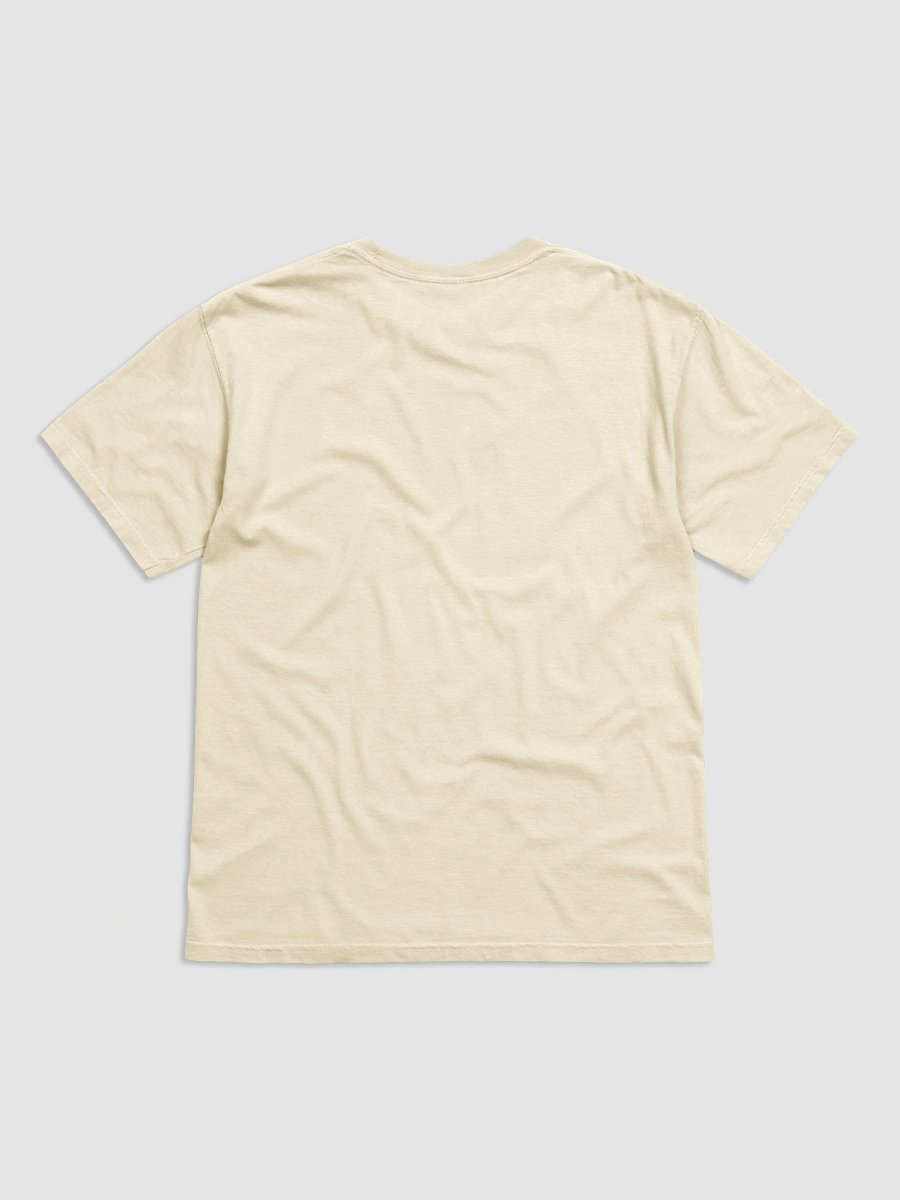 Comfort Colors Oysters & Champagne Shirt product image (6)