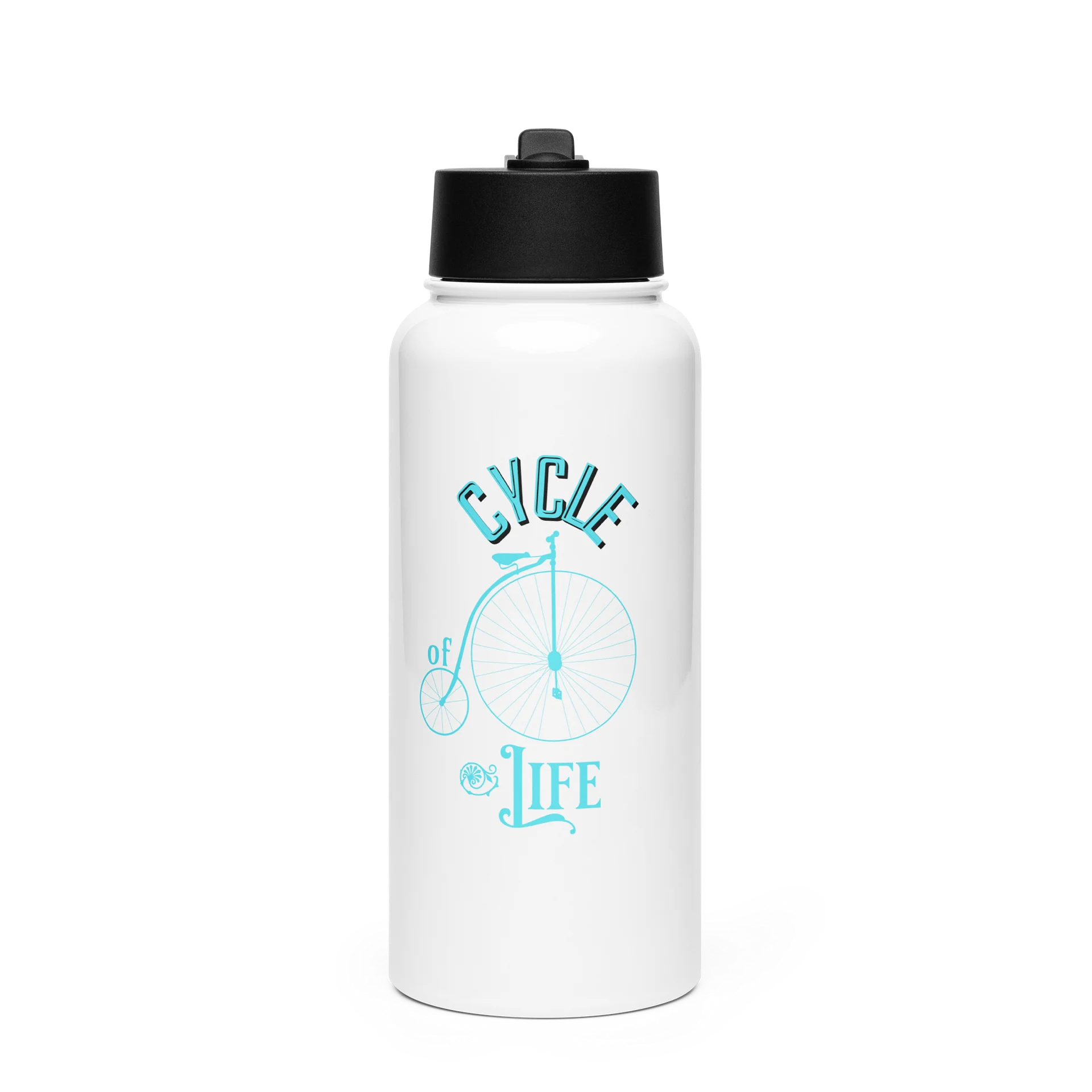 Cycle of Life Stainless Steel Water Bottle with a Straw Lid product image (1)