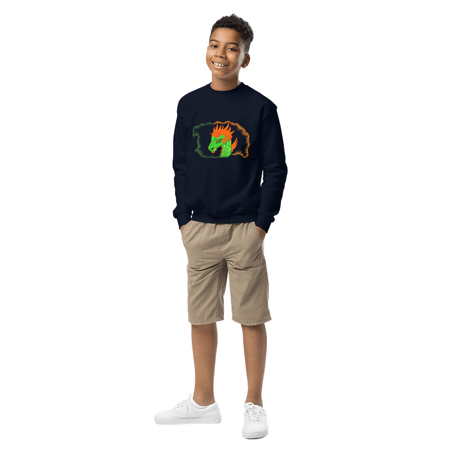 Dragon's Breath Youth Sweatshirt product image (1)