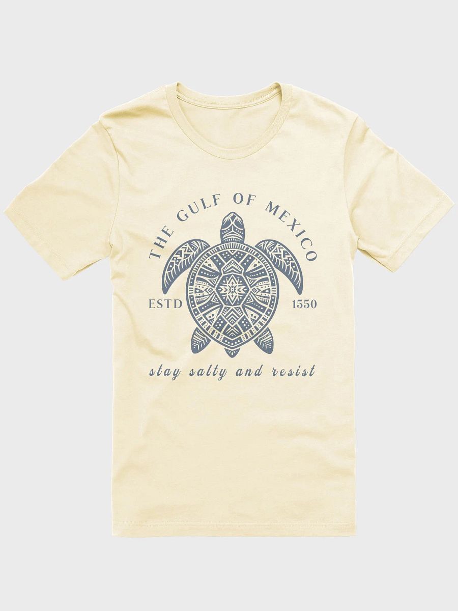 Gulf of Mexico Sea Turtle T-Shirt product image (33)