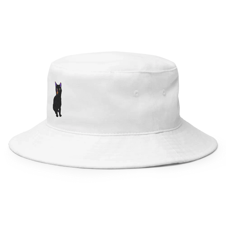 Raven flat hat product image (2)