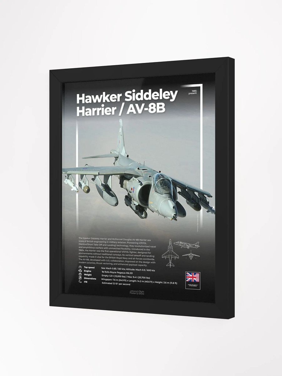 Hawker Siddeley Harrier / McDonnelDouglas AV-8B product image (3)