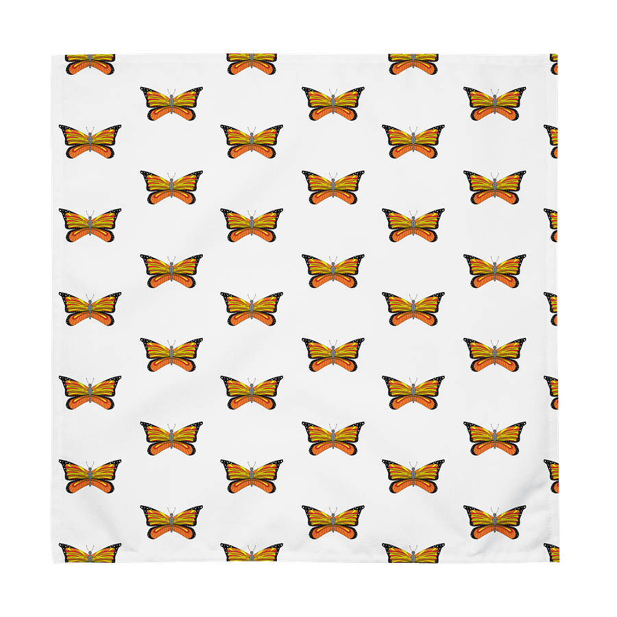 Customizable Cloth Napkin Set: Set of 4 product image (2)