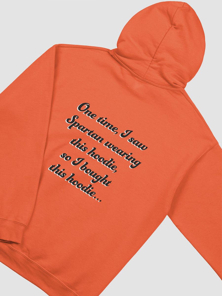 Article 13 - Example (Light) Hoodie product image (4)