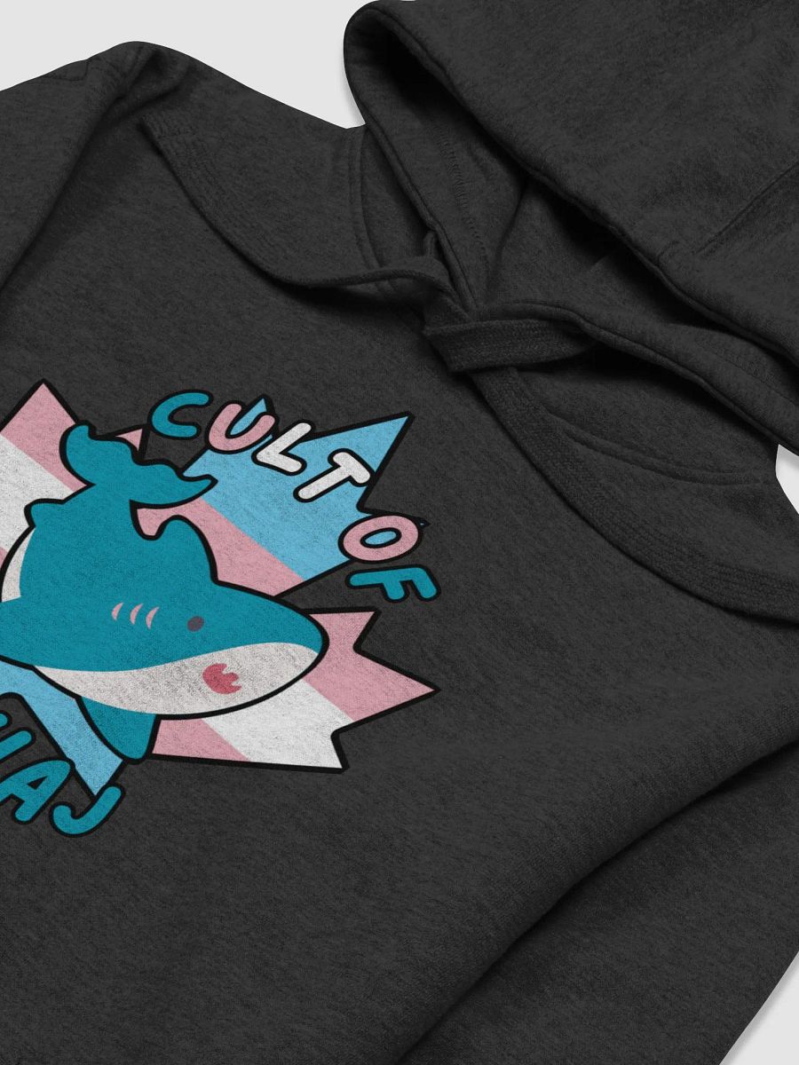 Cult Of Blahaj Hoodie product image (3)