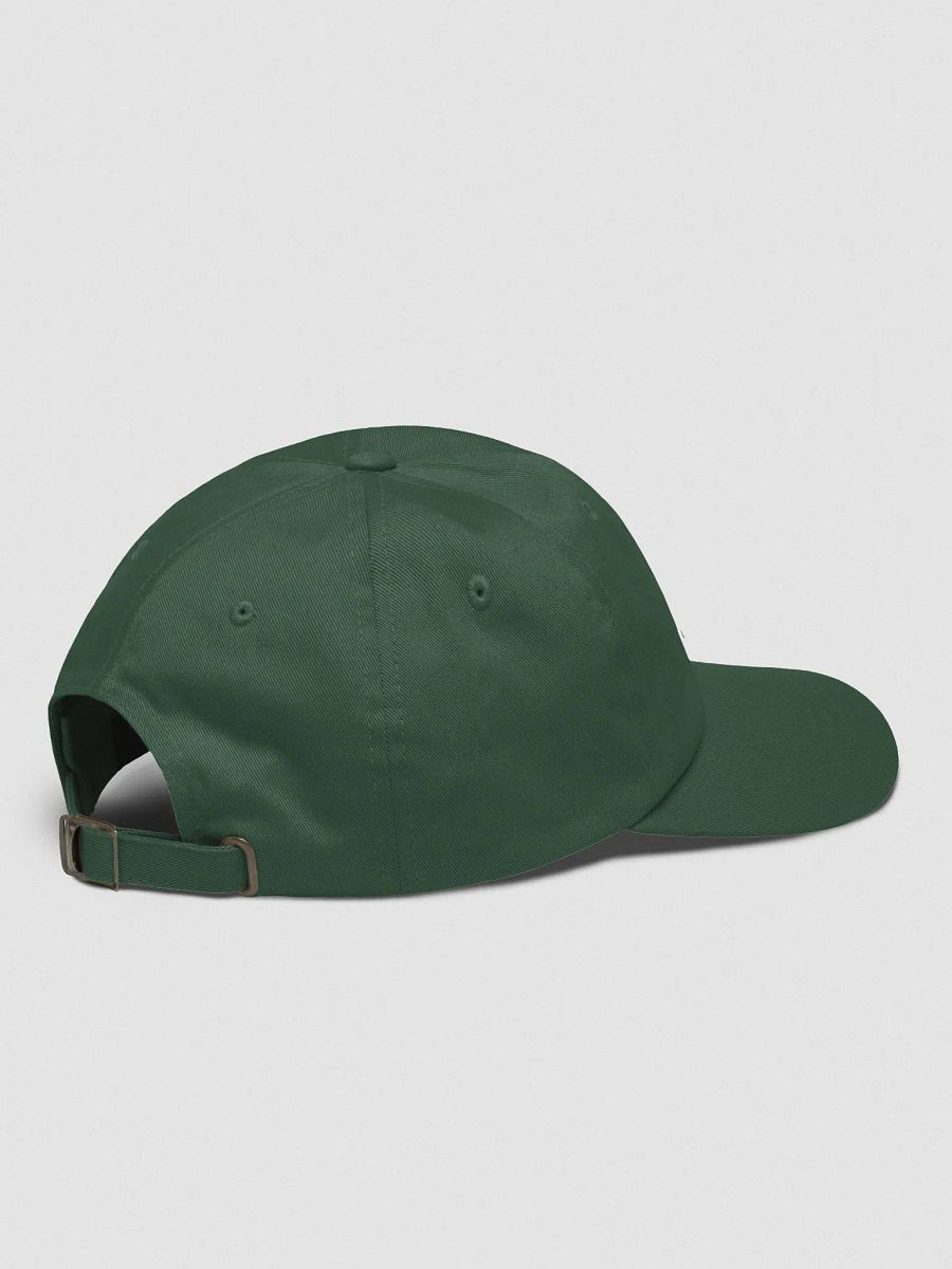 EXCLAIMING MENTALLY (sm. leaf design) classic dad hat product image (52)