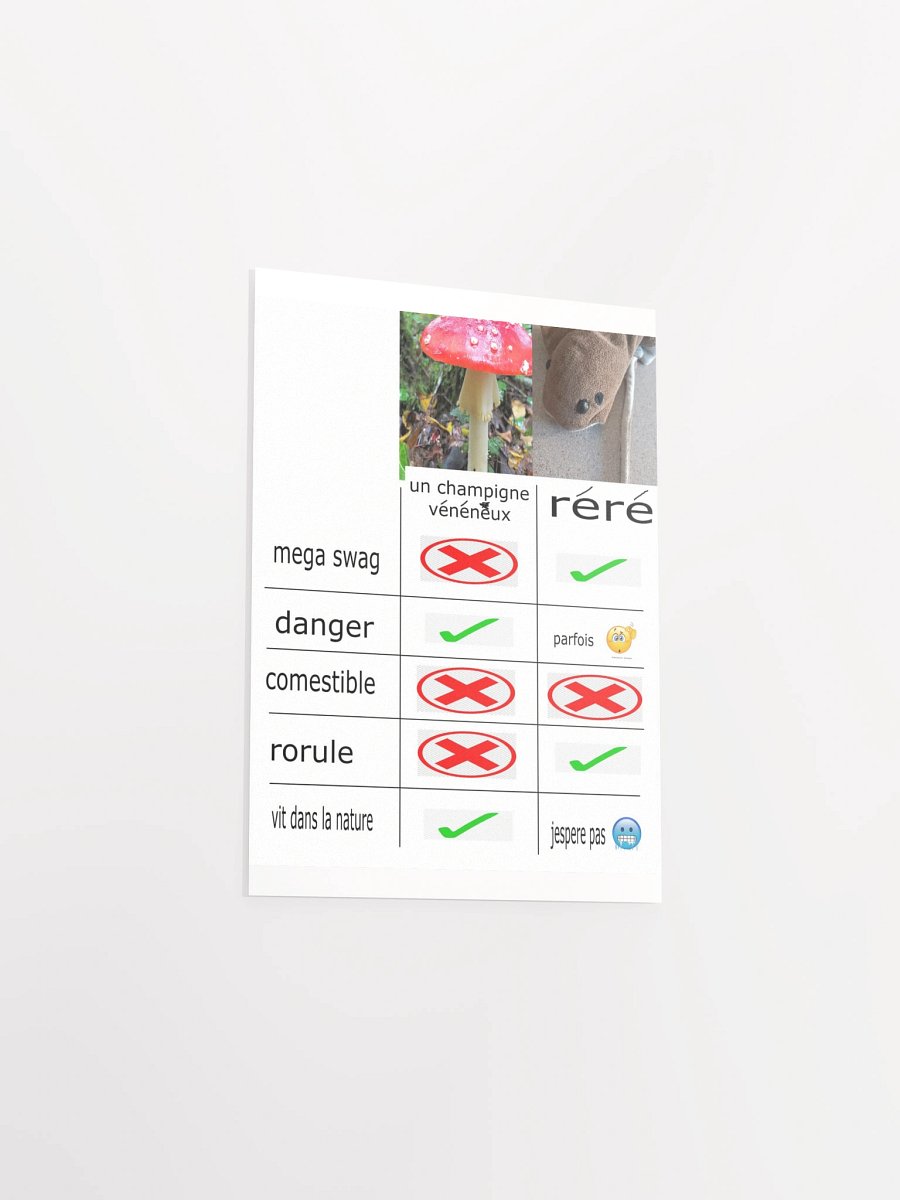 Poster CHAMPIGNE VENENEUX vs RERE product image (23)