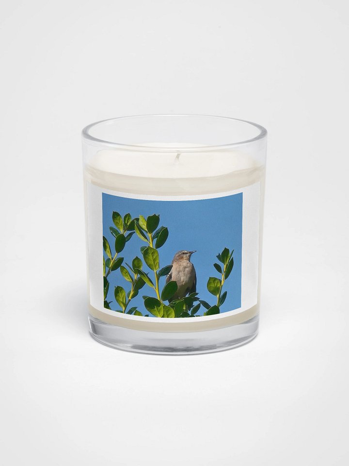 Serenity Songbird Soy Candle product image (1)