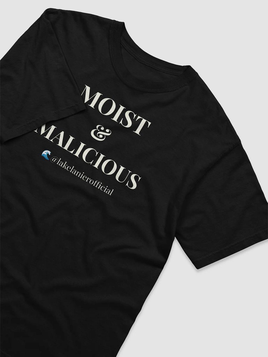 Moist & Malicious Comfort Tee product image (38)