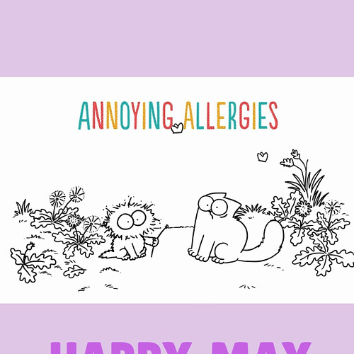 What's your plan for May!? 🌿🌺