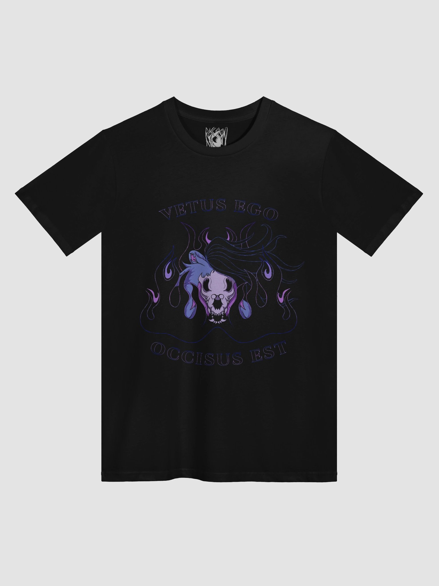 SLAY THE PAST product image (1)