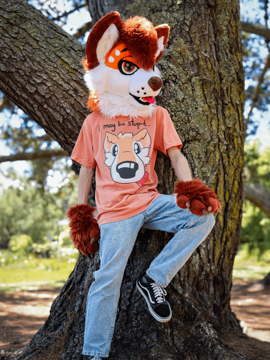 Maybe Stupid T-Shirt... product image (2)