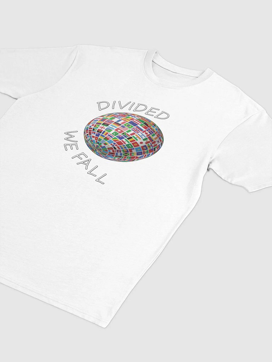 Divided We Fall - Nations - Globe - Cotton Heritage Men's Premium Heavyweight Tee product image (3)