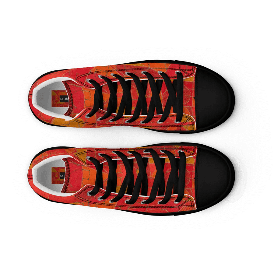 Boondoggled Men's High Top Canvas Shoes product image (10)