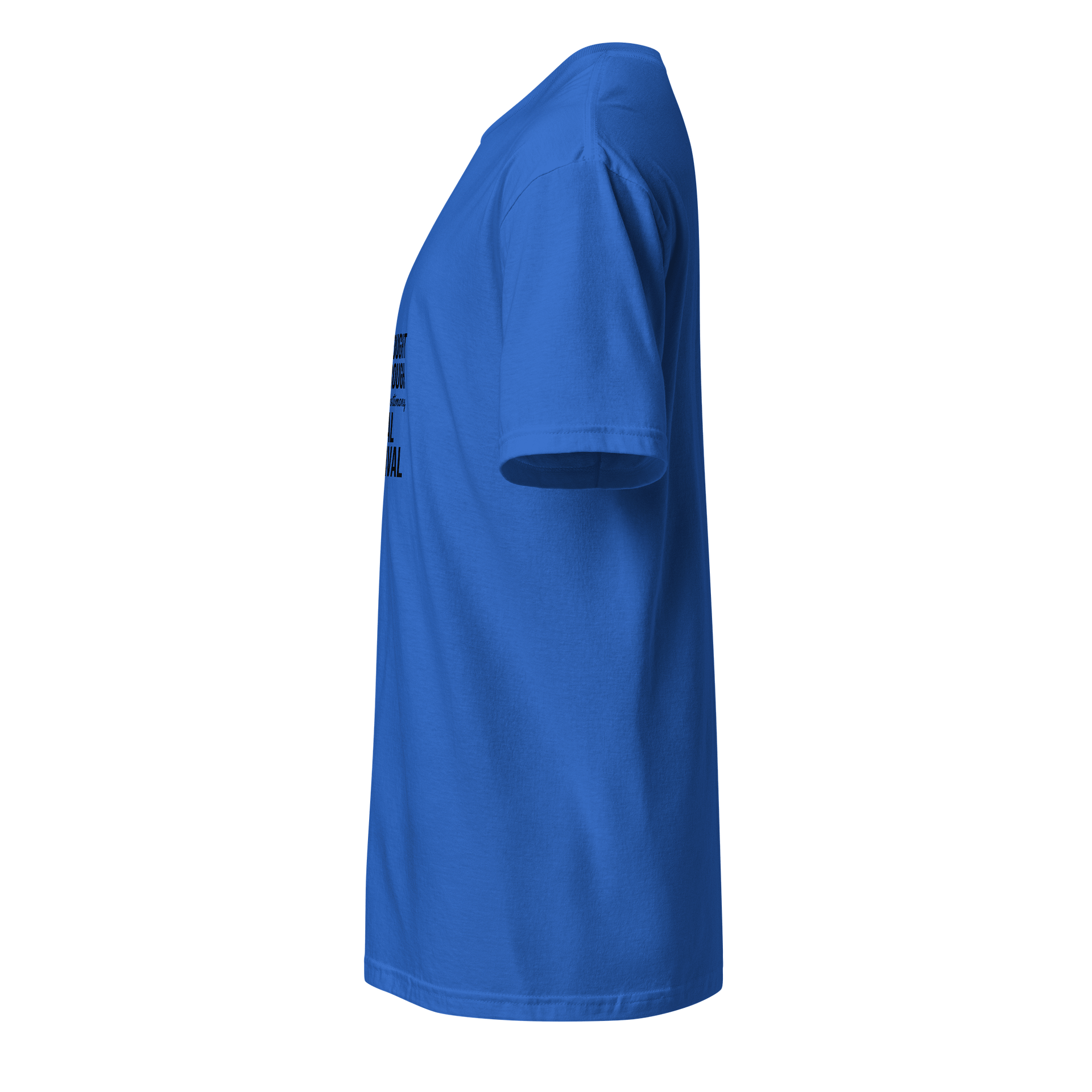 GOD Brought Me Through -Real Survival Tee (Blue Edition product image (3)