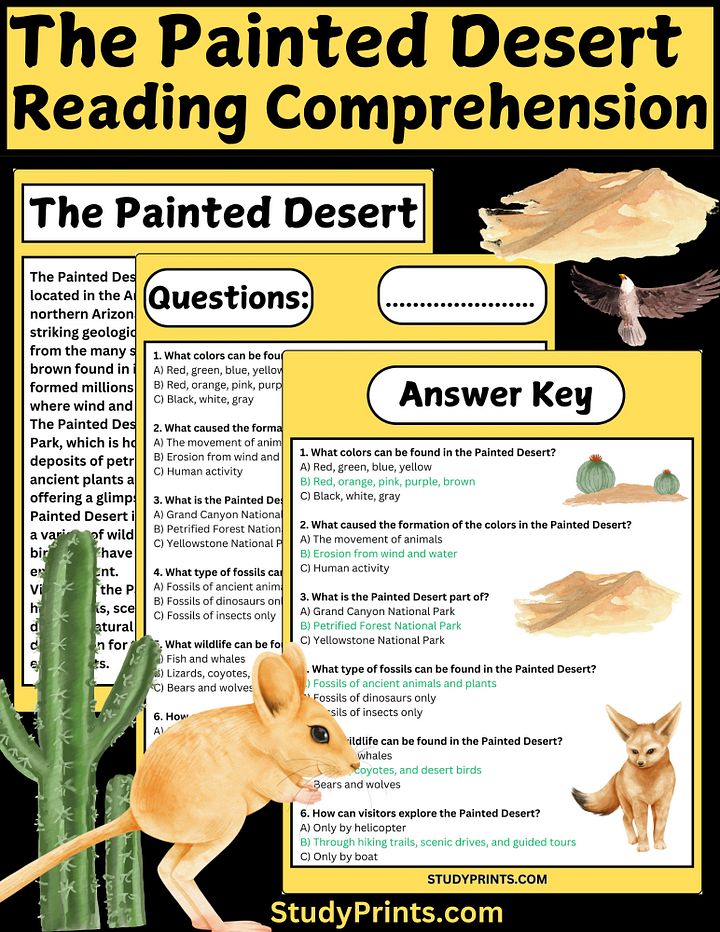 The Painted Desert Reading Comprehension Worksheet product image (1)