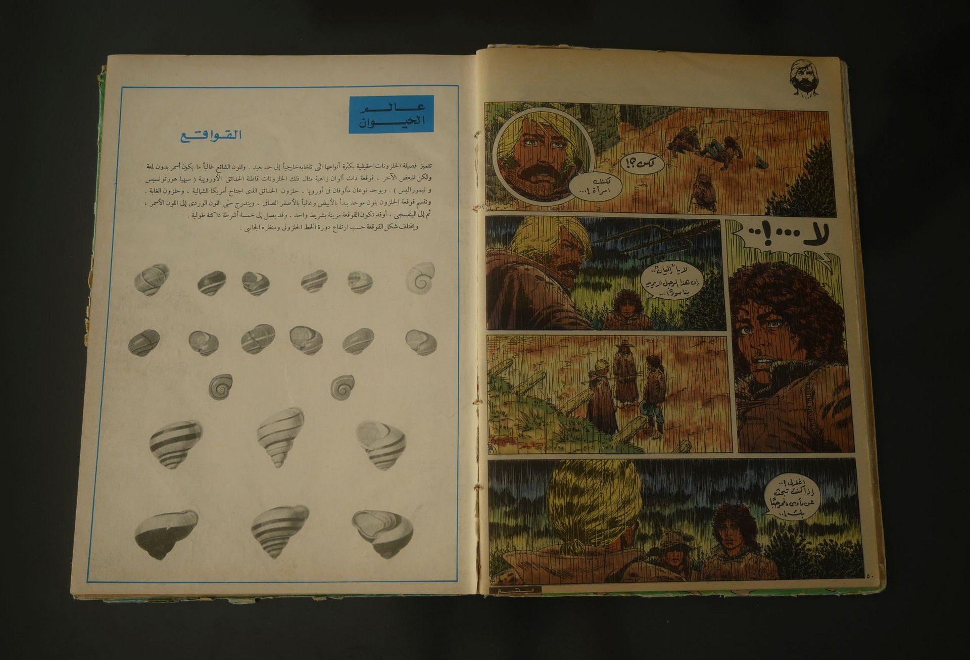 مجلد مجلة تان تان عام 1976 (المجلد الحادي والخمسون) product image (3)