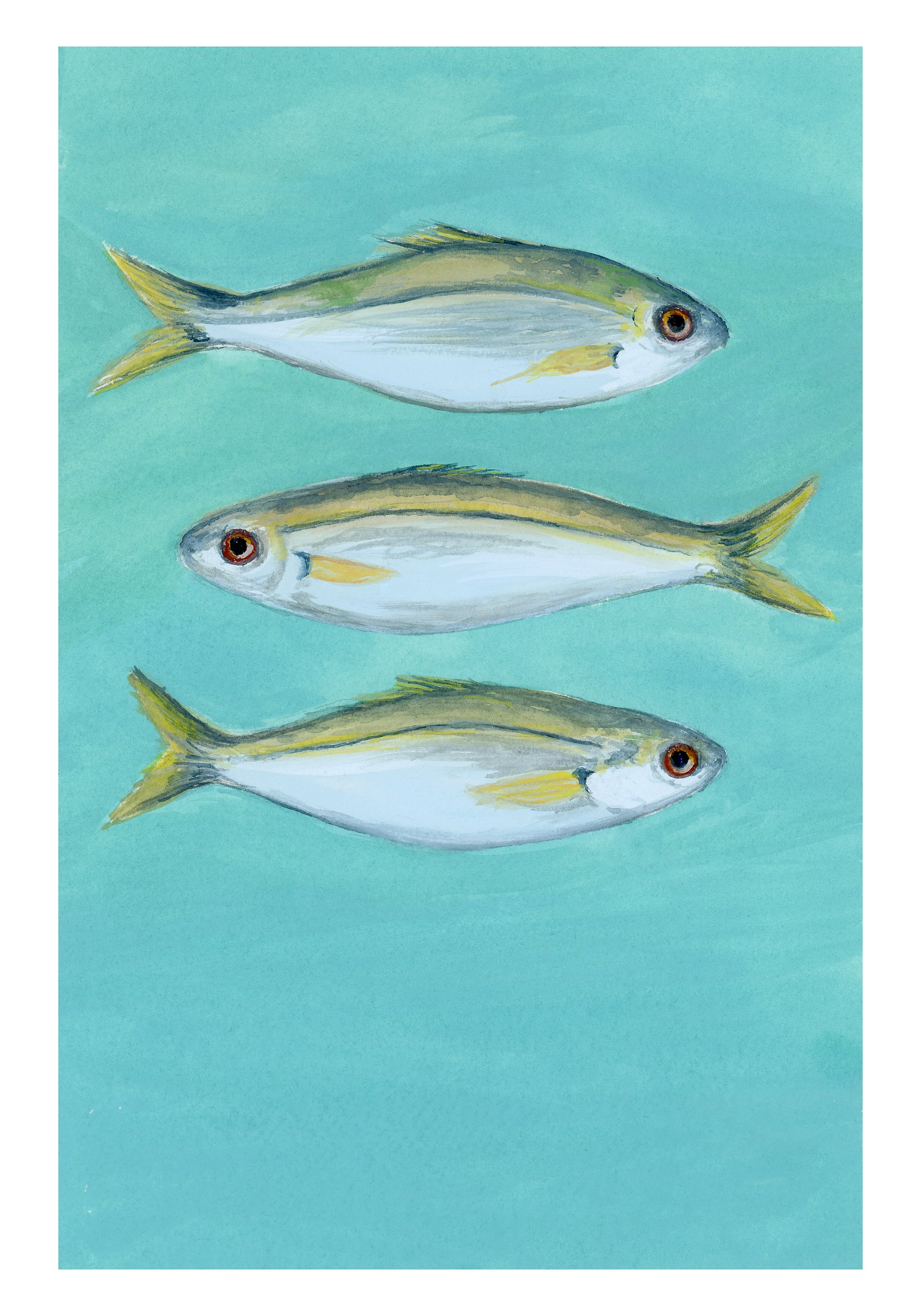 Boops boops boops - ORIGINAL product image (1)