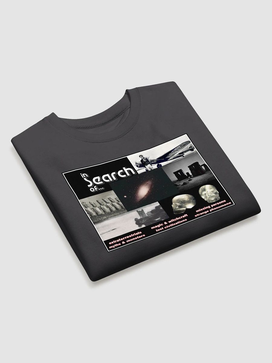 In Search of...Sweatshirt product image (3)