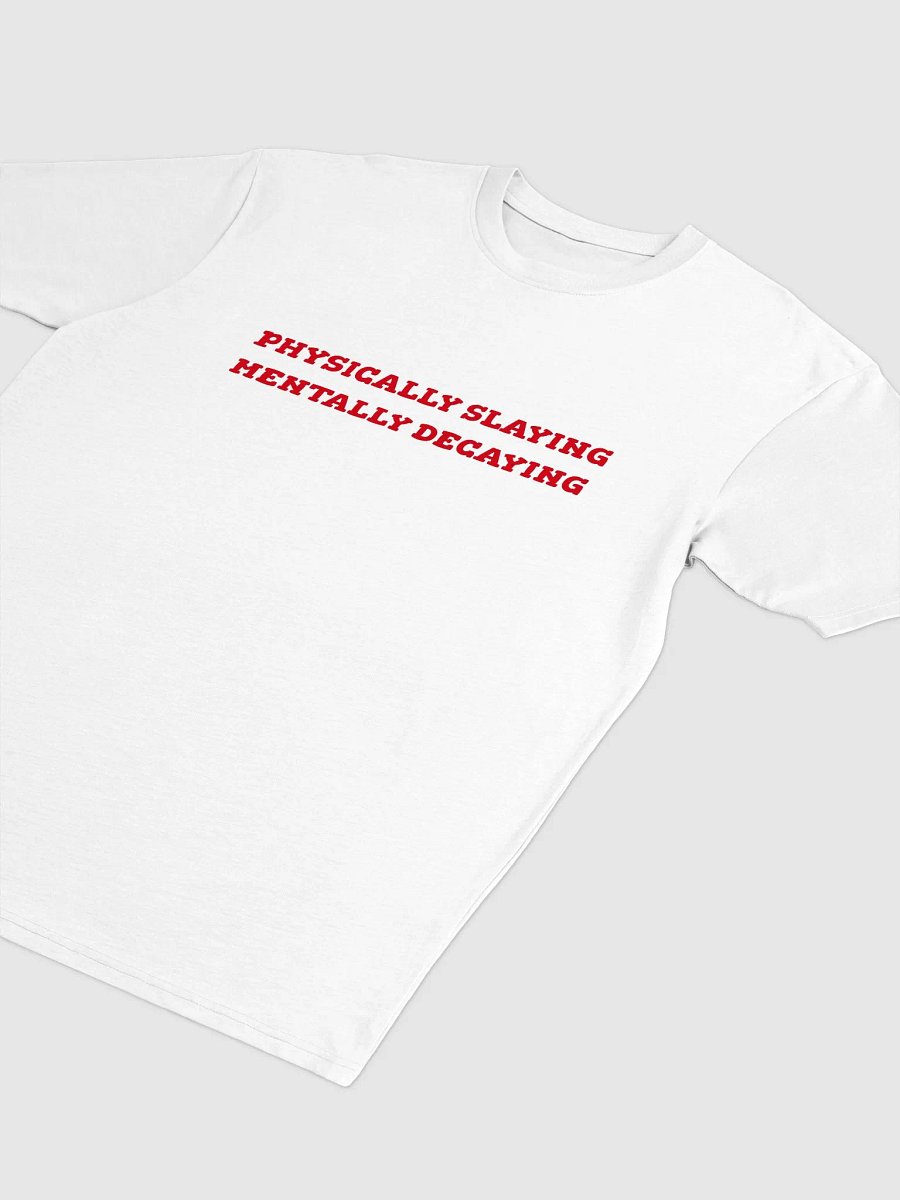 PHYSICALLY SLAYING MENTALLY DECAYING TEE product image (2)