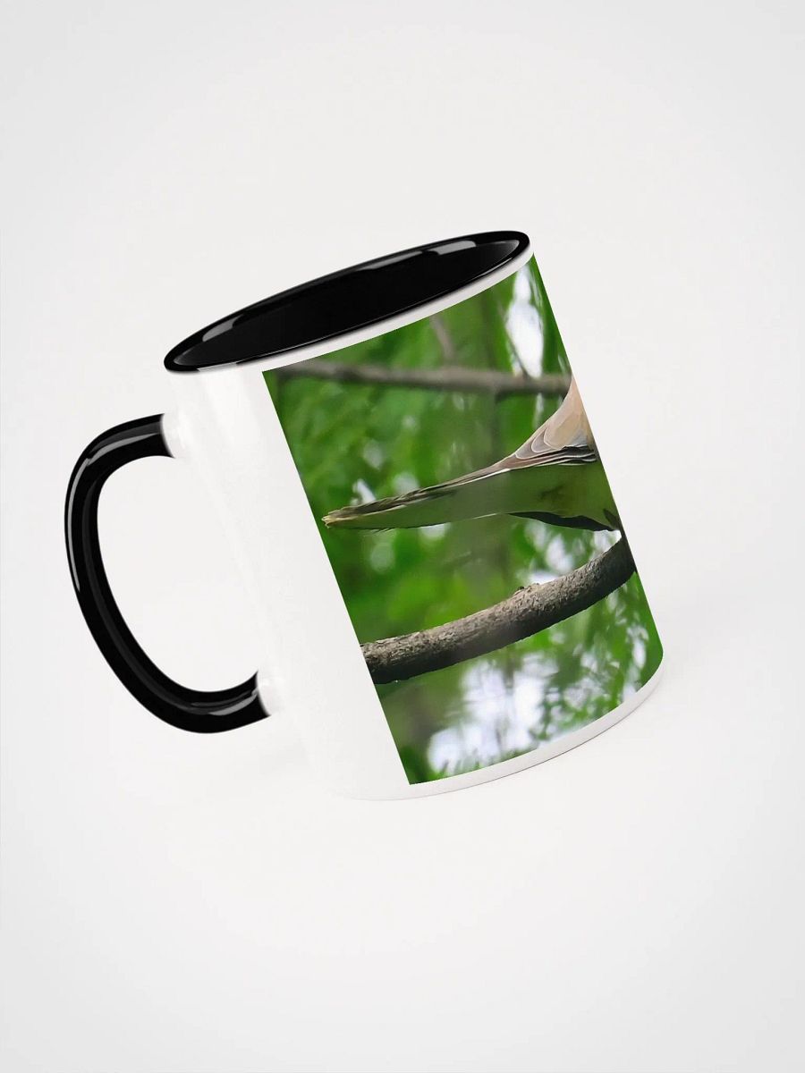 IUCAA Birds MUG product image (26)