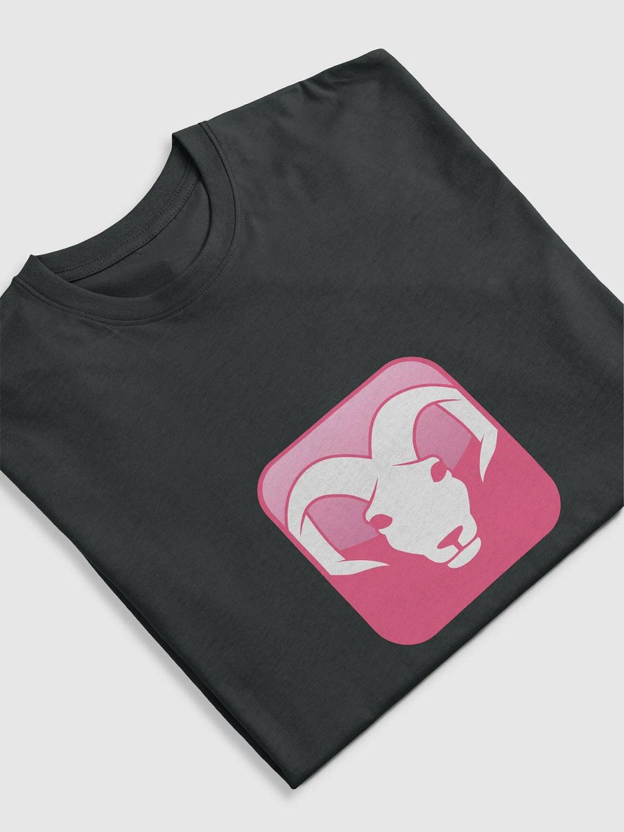 ARIES T-shirt product image (34)