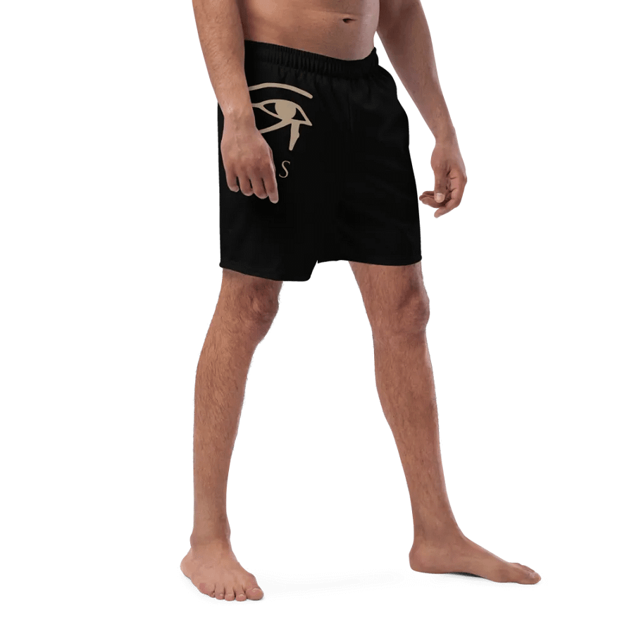 Isis Black Swim Trunks product image (3)