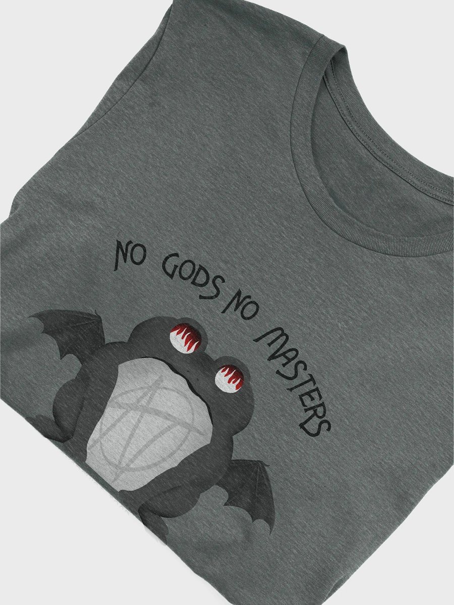No Gods No Masters T-Shirt product image (14)