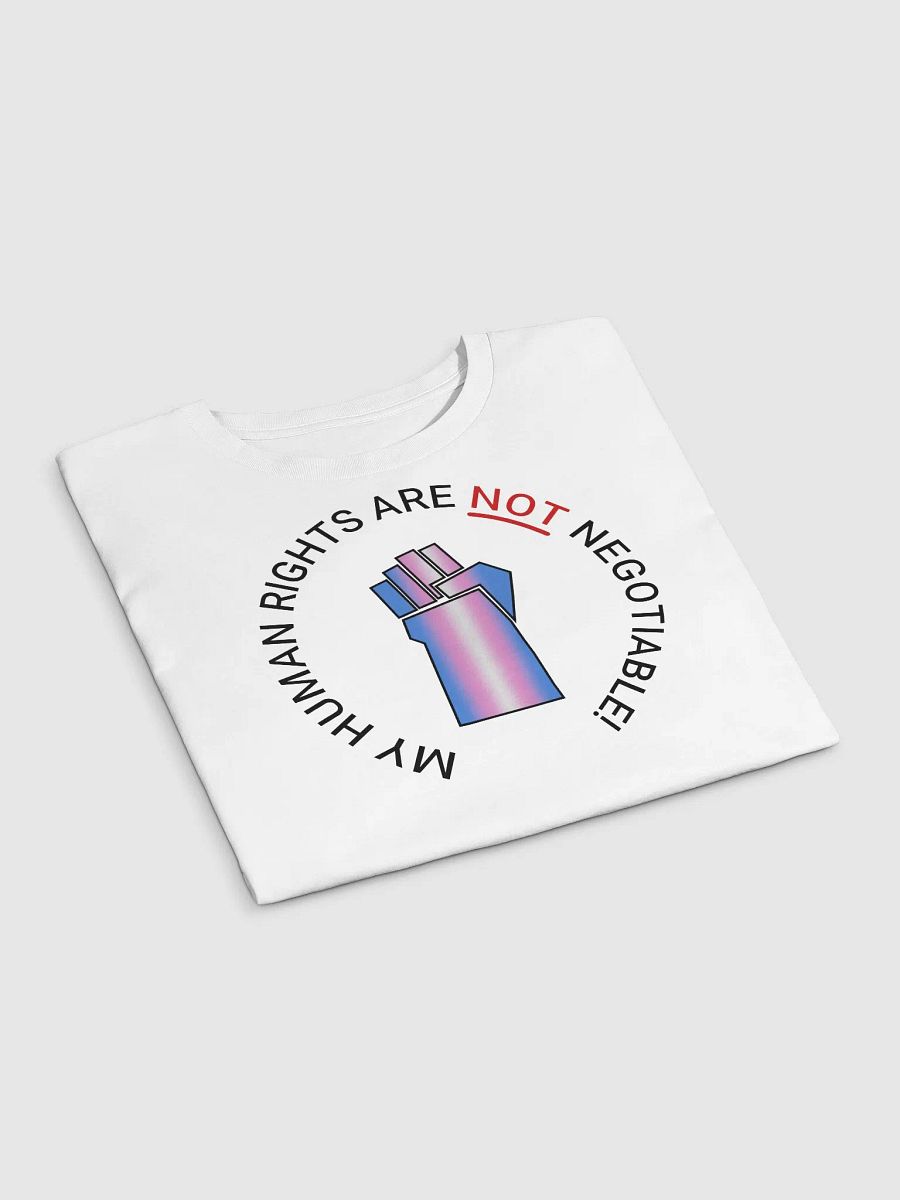 Trans Liberation Crop Top product image (3)