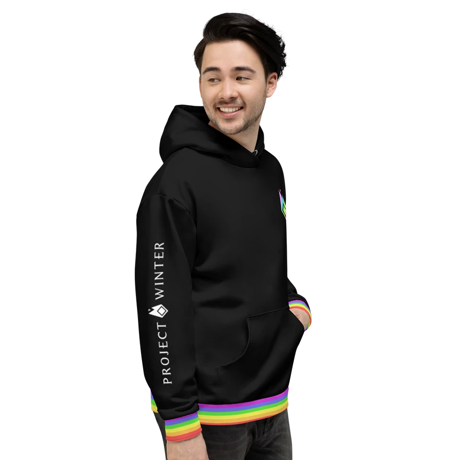 Pride Hoodie product image (3)