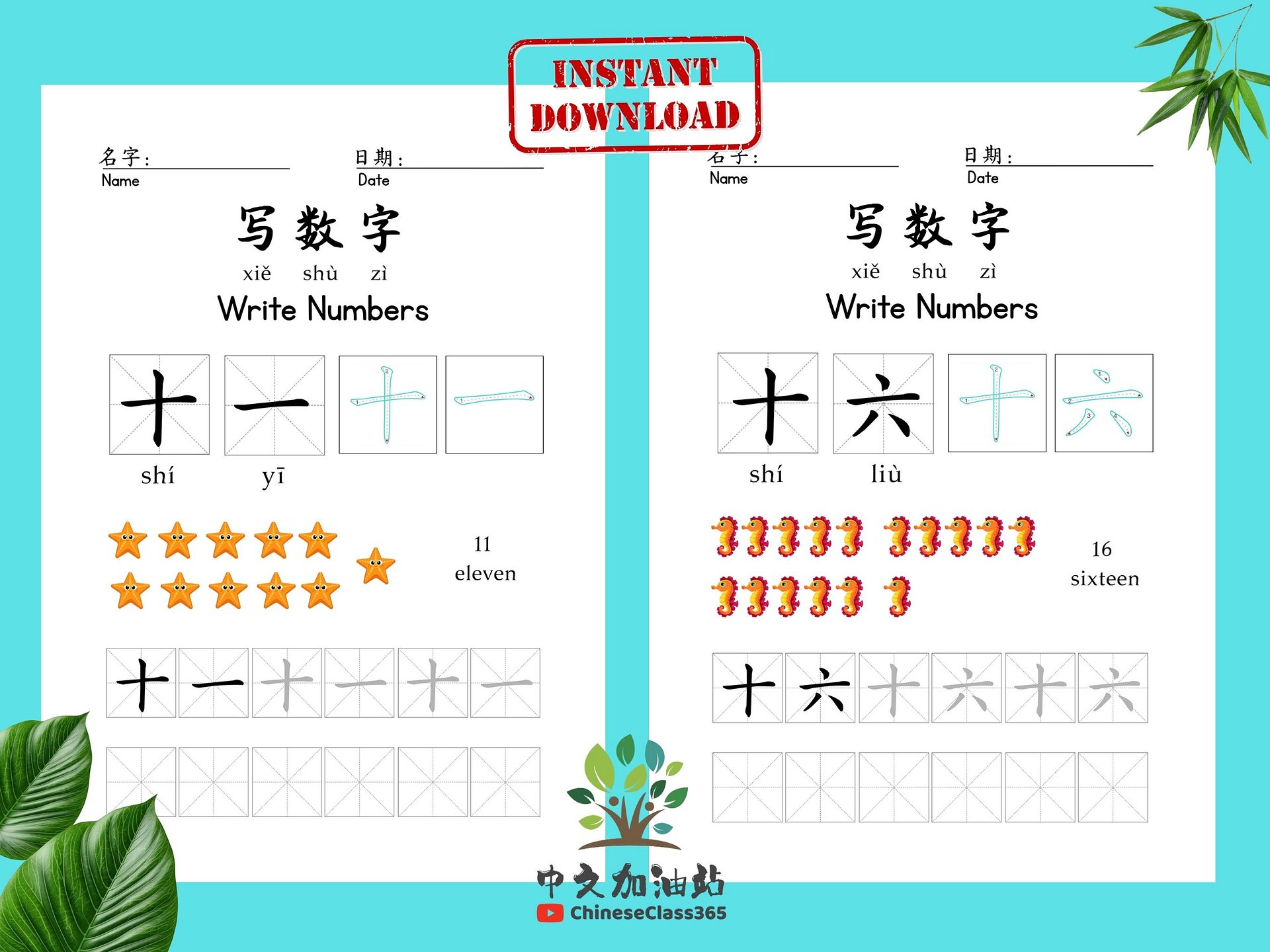 Chinese Numbers Worksheet 1-20 | Stroke Order Practice | Mandarin Preschool Activity | Printable PDF product image (4)