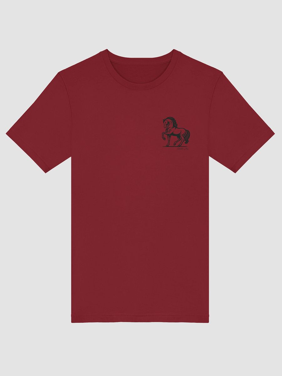 Caballo Andaluz – Edición Especial Caballos y Más product image (14)