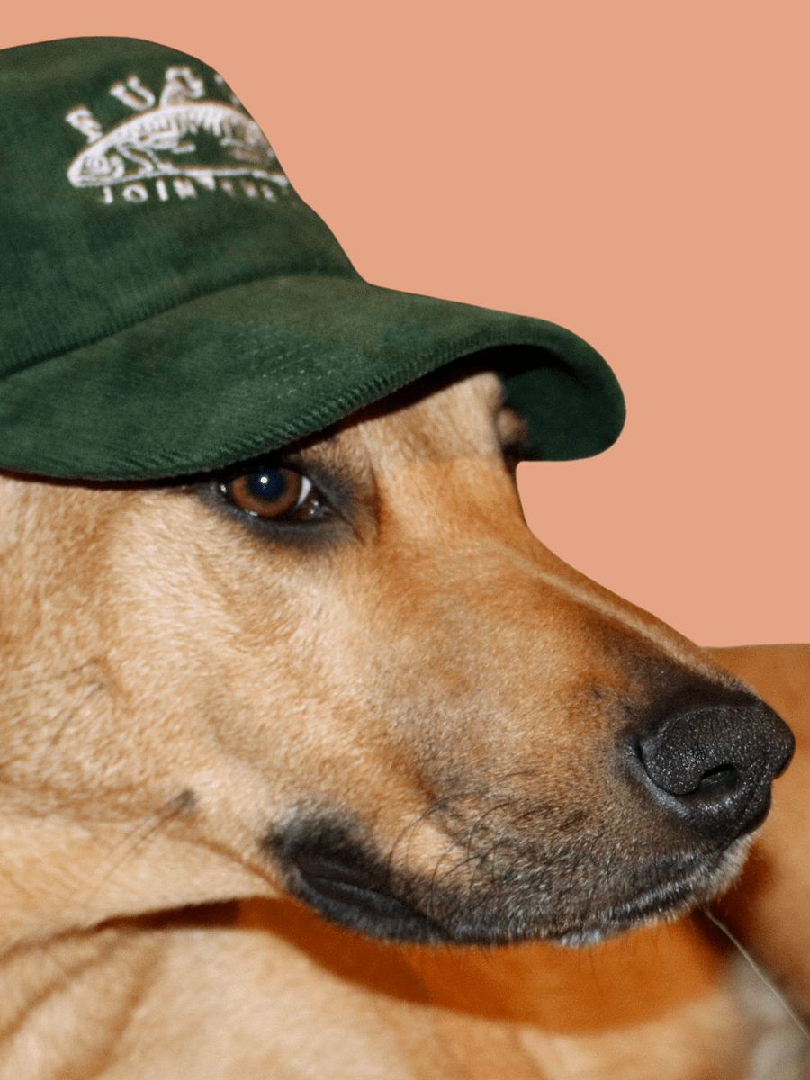 THE HAT. product image (3)