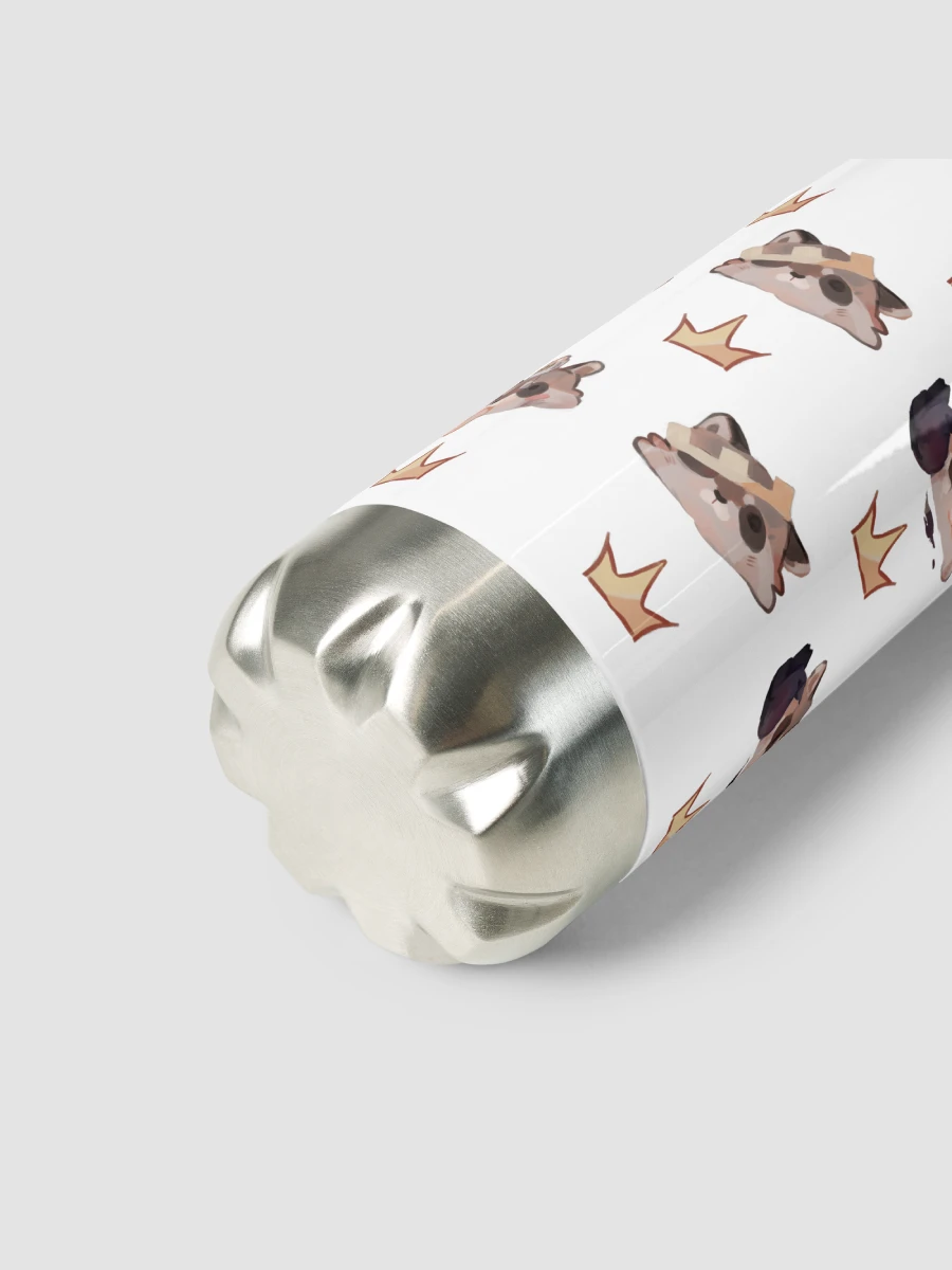 Stainless Steel Water Bottle product image (11)