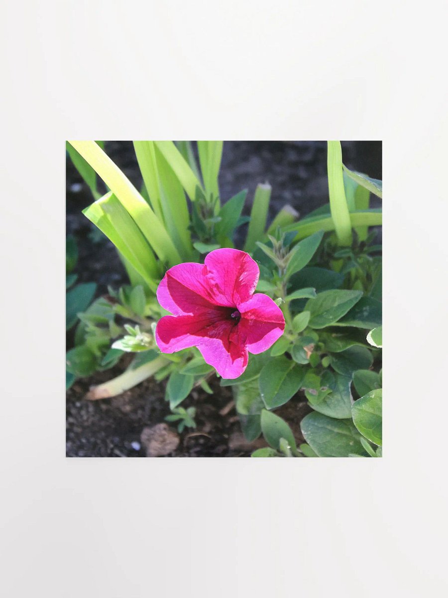Pink Flower product image (5)