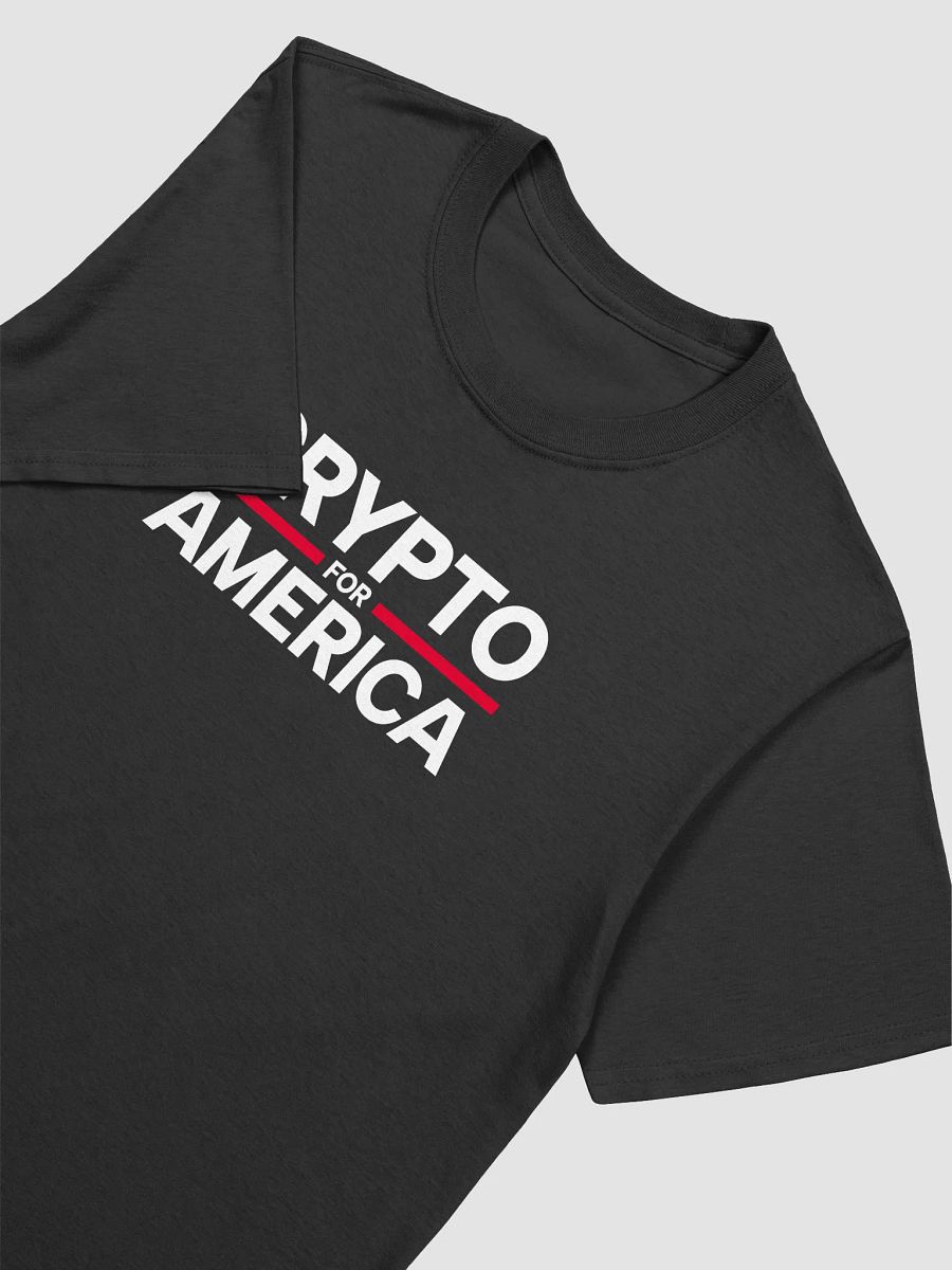 Crypto for America Unisex T-Shirt product image (4)