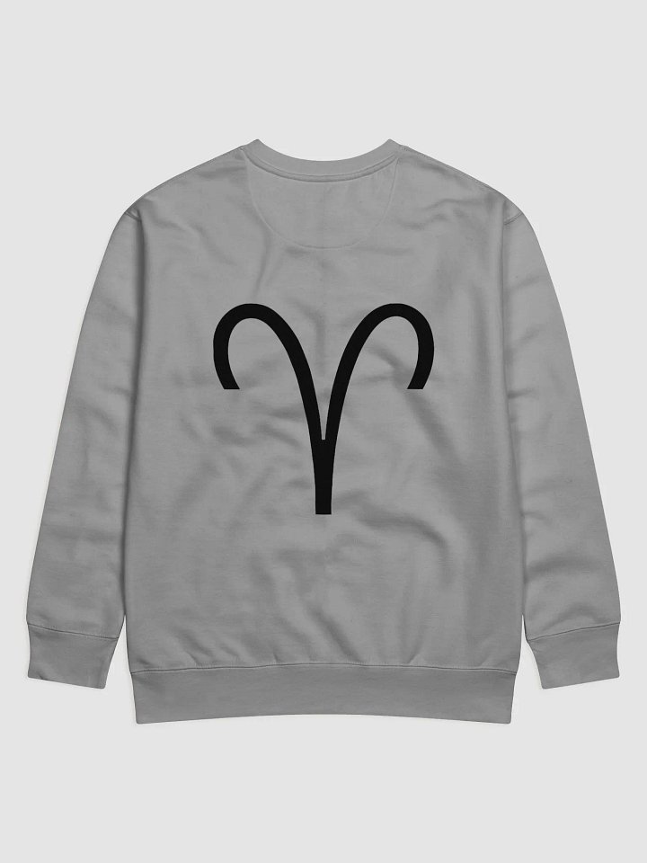 Aries Long Sleve product image (10)
