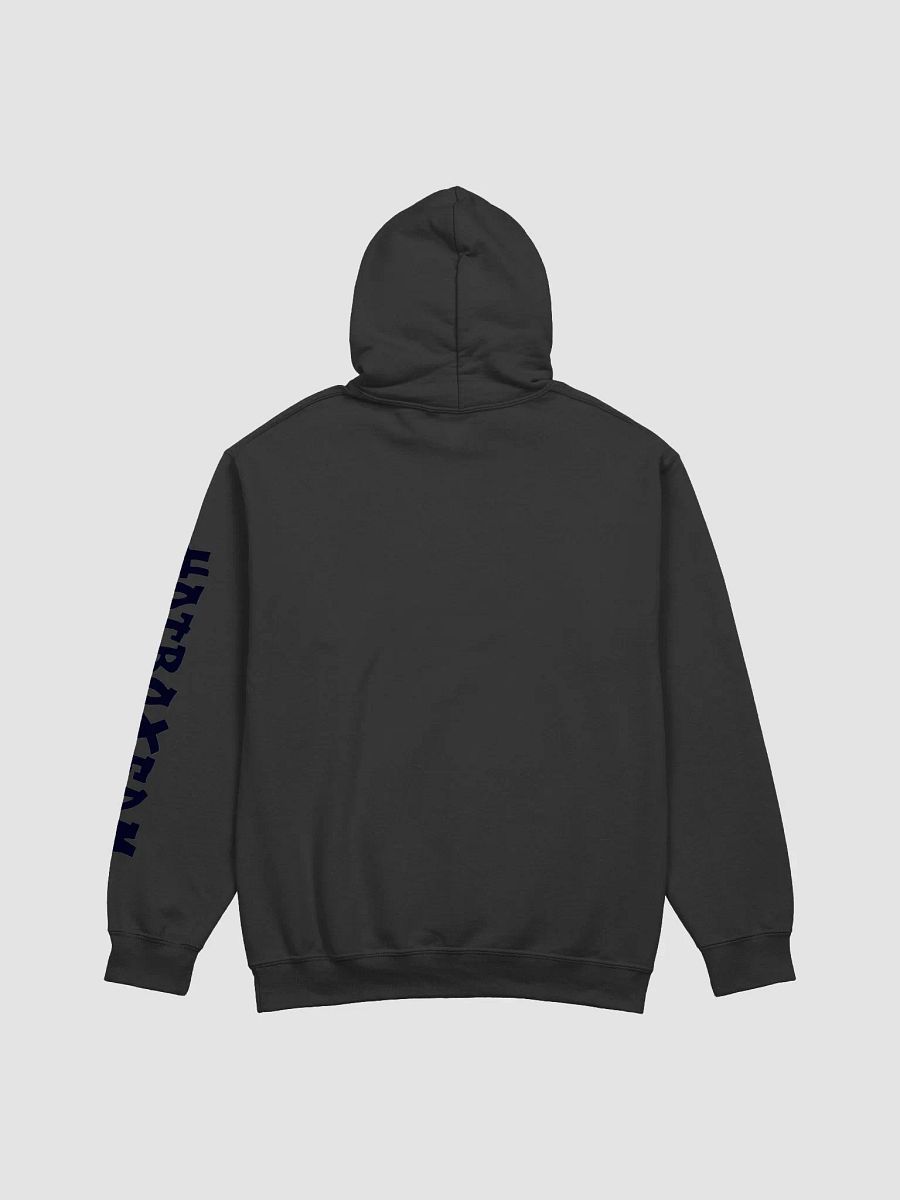 HOT BOX FAM TRANSPARENT ORANGE LOGO WITH HOT BOX FAM FONT ON SLEEVE HOODIE product image (33)