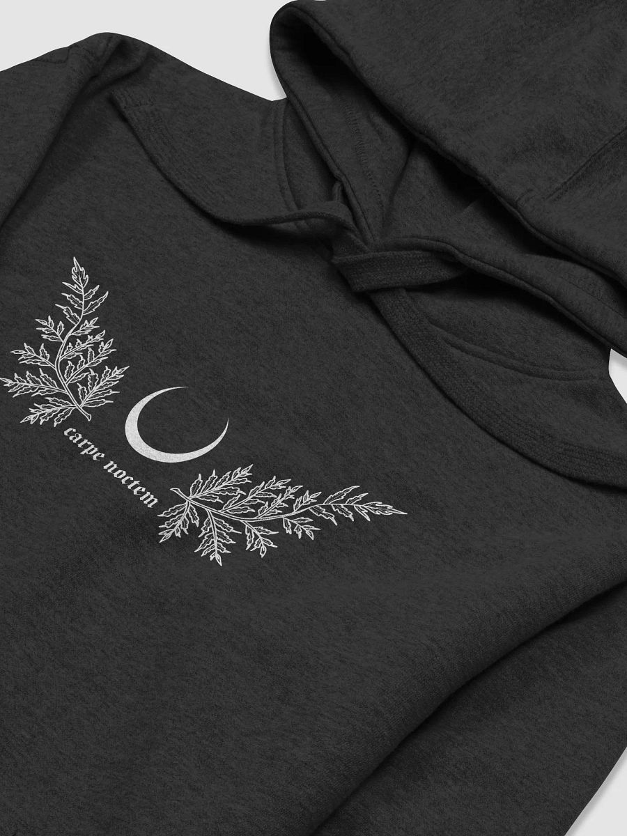 Carpe Noctem Hoodie product image (3)
