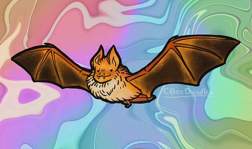 Painted Bat 🦇
X
X
X
#doodles #paintedbat #bats #illustration #animalillustration #rainbow #sketch