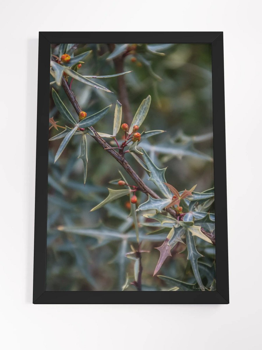 🌿Print Fine Art - Spikes and Secrets 🔒✨ product image (8)